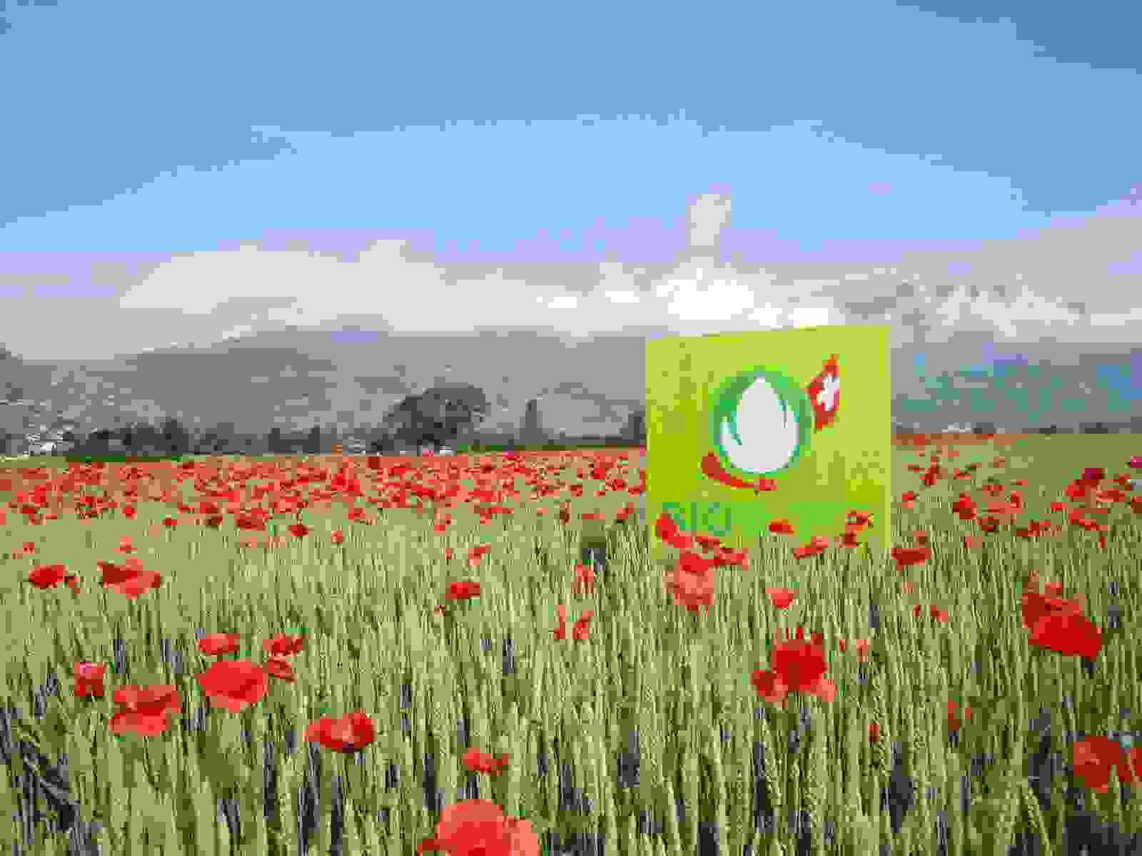 Ein Moonblumenfeld mit dem Logo von Bio Suisse. 