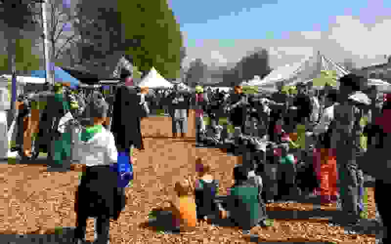 Die Besucher tauchten auf der Festwiese ins Mittelalter ein. 