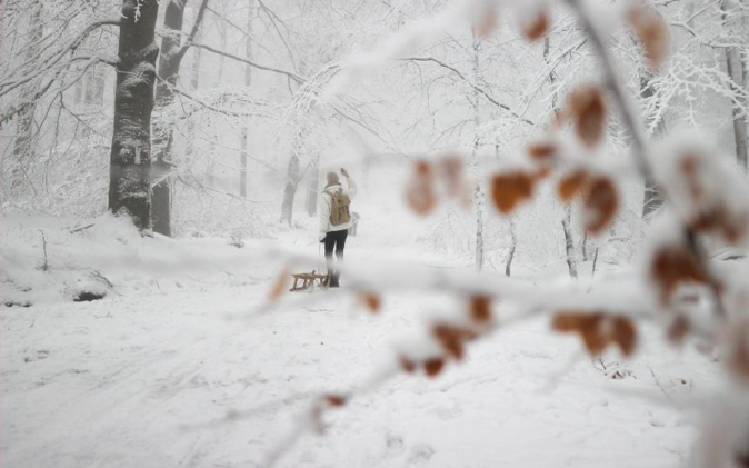 Symbolbild Winterlandschaft mit Bäumen und mit einer Person mit Schlitten