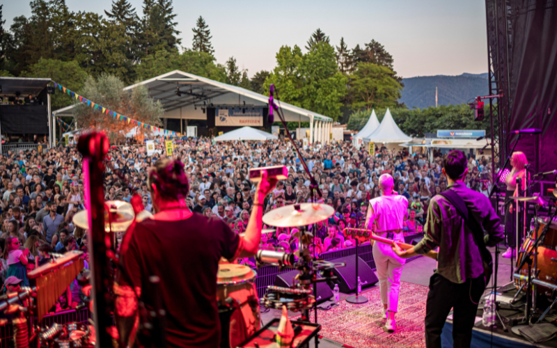 Symbolbild; Kopf mit vielen Fragezeigen